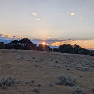 PXL_20260720_022528925.jpg